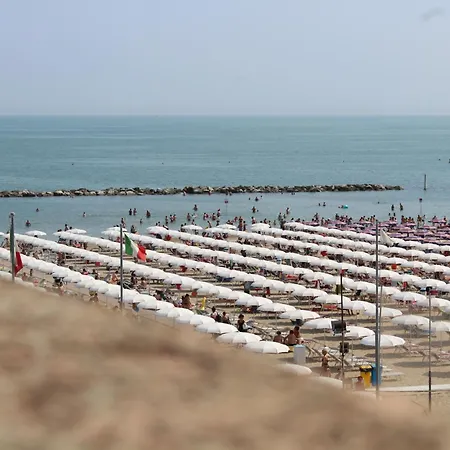 فندق Splendid